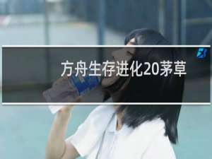 方舟生存进化 茅草