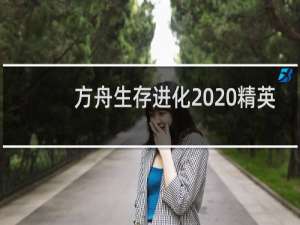 方舟生存进化  精英
