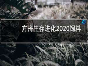 方舟生存进化  饲料