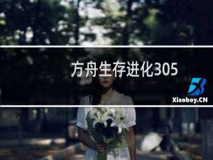 方舟生存进化305.12