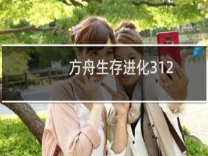 方舟生存进化312.57