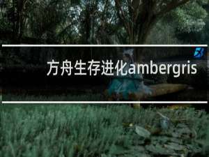 方舟生存进化ambergris