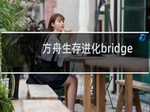 方舟生存进化bridge