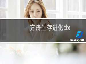 方舟生存进化dx