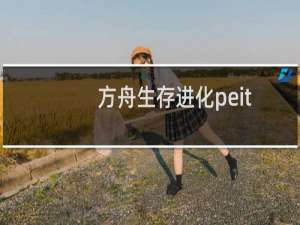 方舟生存进化peit