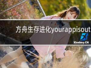 方舟生存进化yourappisout