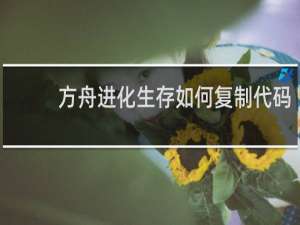 方舟进化生存如何复制代码