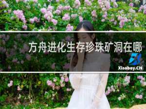 方舟进化生存珍珠矿洞在哪