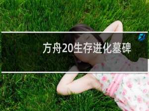 方舟 生存进化墓碑