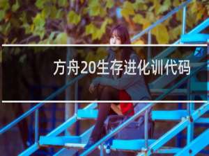 方舟 生存进化训代码