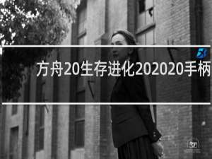 方舟 生存进化   手柄
