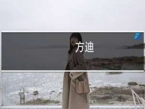 方迪(关于方迪的简介)