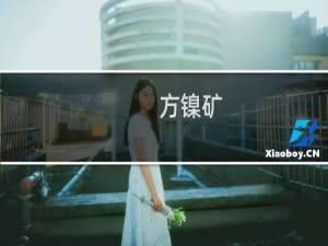 方镍矿(关于方镍矿的简介)