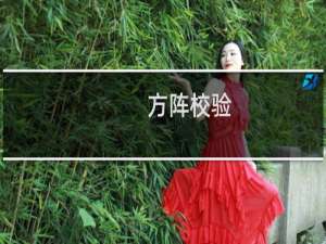方阵校验(关于方阵校验的简介)