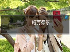 施劳德尔(关于施劳德尔的简介)