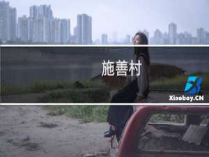 施善村(关于施善村的简介)