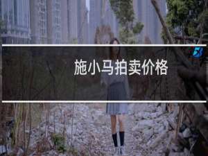 施小马拍卖价格