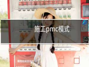 施工pmc模式
