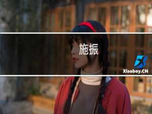 施振(关于施振的简介)