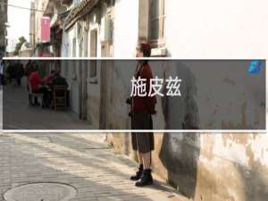 施皮兹(关于施皮兹的简介)