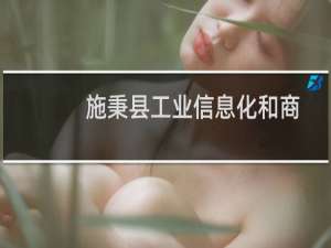 施秉县工业信息化和商务局(关于施秉县工业信息化和商务局的简介)
