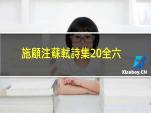 施顧注蘇軾詩集 全六册(关于施顧注蘇軾詩集 全六册的简介)