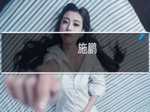 施鹏(关于施鹏的简介)