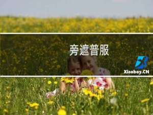 旁遮普服(关于旁遮普服的简介)