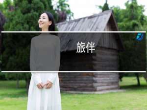 旅伴(关于旅伴的简介)