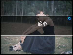 旅心(关于旅心的简介)