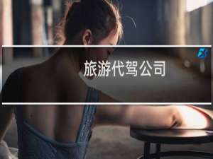 旅游代驾公司