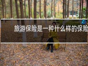 旅游保险是一种什么样的保险