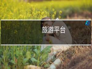 旅游平台