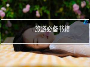 旅游必备书籍