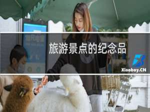 旅游景点的纪念品