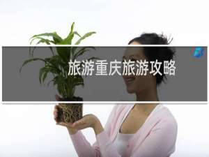旅游重庆旅游攻略