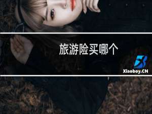 旅游险买哪个