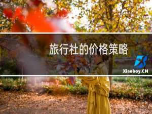 旅行社的价格策略