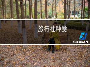 旅行社种类