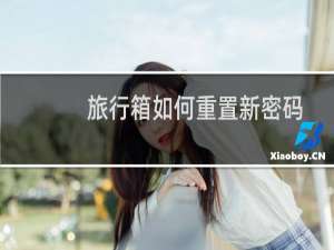 旅行箱如何重置新密码