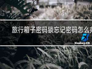 旅行箱子密码锁忘记密码怎么办