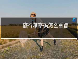 旅行箱密码怎么重置