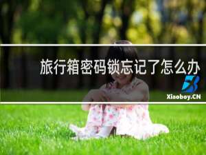 旅行箱密码锁忘记了怎么办