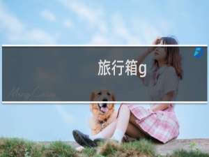 旅行箱g