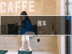 旌车(关于旌车的简介)