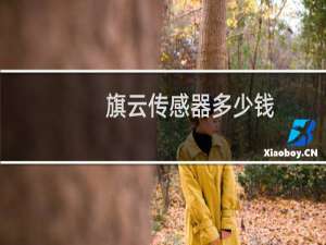 旗云传感器多少钱