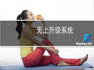 无上升级系统(关于无上升级系统的简介)