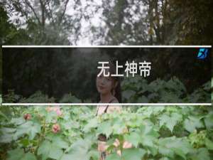 无上神帝(关于无上神帝的简介)