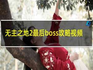 无主之地2最后boss攻略视频