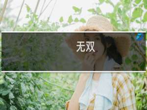 无双(关于无双的简介)